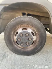 IVECO Daily 35C12 Frigorifică 8 Paleți + Lift ANTEO | 170.000 km | Italia 