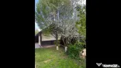 Casa de vacanta - Butimanu - langa lac