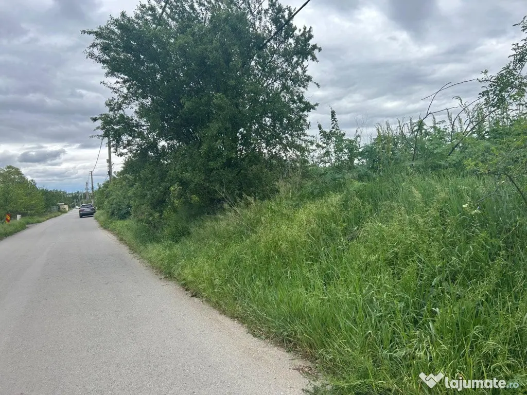 Teren sector 1 Centura DN1 Padurea Baneasa