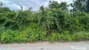 Teren sector 1 Centura DN1 Padurea Baneasa 
