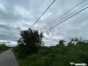 Teren sector 1 Centura DN1 Padurea Baneasa 