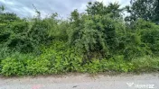Teren sector 1 Centura DN1 Padurea Baneasa 