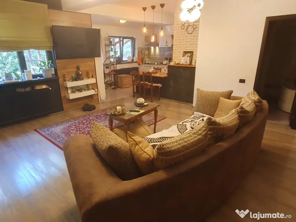 Vila Baba Novac Dristor 2 corpuri