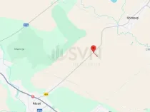 Oportunitate I Teren Intravilan 30.000 mp I Racari I Damb...