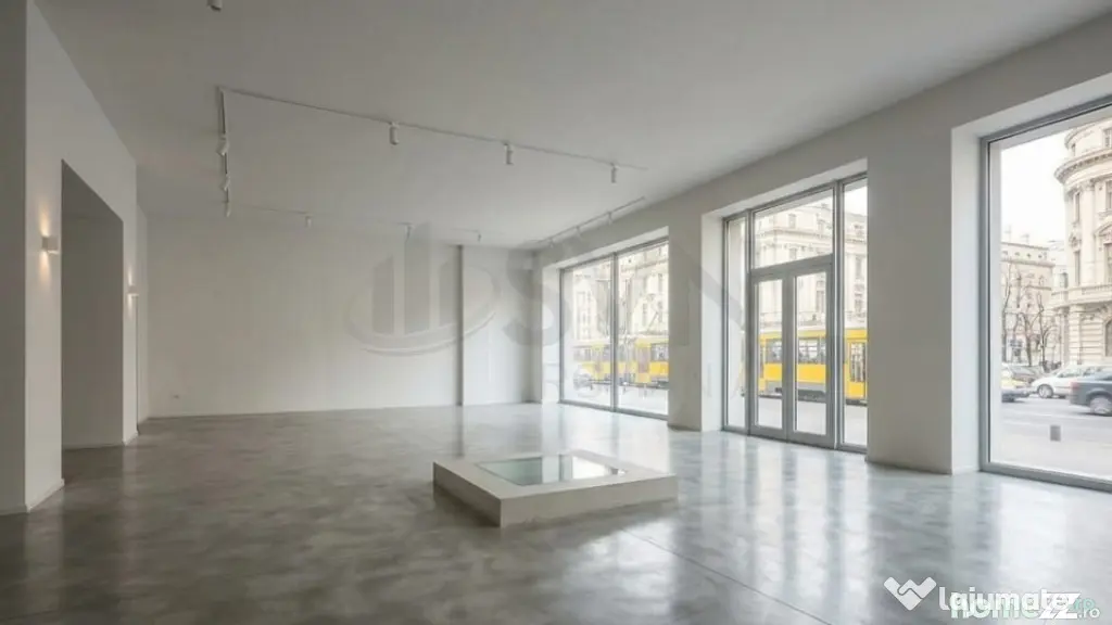 Spatiu comercial Piata Romana