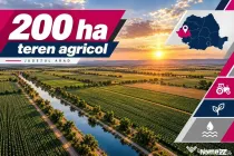 200 ha teren agricol de vanzare in Arad