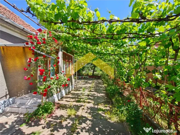 Casa la sol de in Vladimirescu