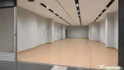 Spatiu comercial Erou Iancu Nicolae stradal 