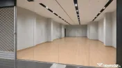 Spatiu comercial Erou Iancu Nicolae stradal 