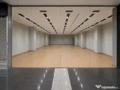 Spatiu comercial Erou Iancu Nicolae stradal 