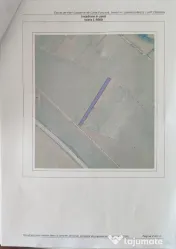 Vând teren extravilan sat Căteasca 10000 mp 