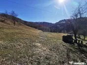 De vânzare teren intravilan 10,100 mp, cu anexă, Munteni 