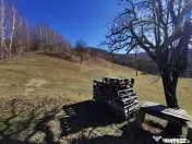 De vânzare teren intravilan 10,100 mp, cu anexă, Munteni 