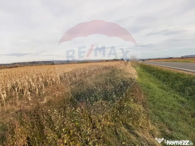 De vânzare teren intravilan, în Săbolciu, cu deschider... - Sabolciu (Bihor)