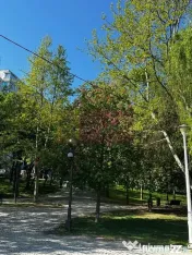 Apartament 3 camere, la parc IOR