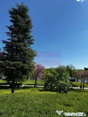 Apartament 3 camere, la parc IOR