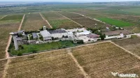 Spațiu industrial vinificatie Dobrinesti 