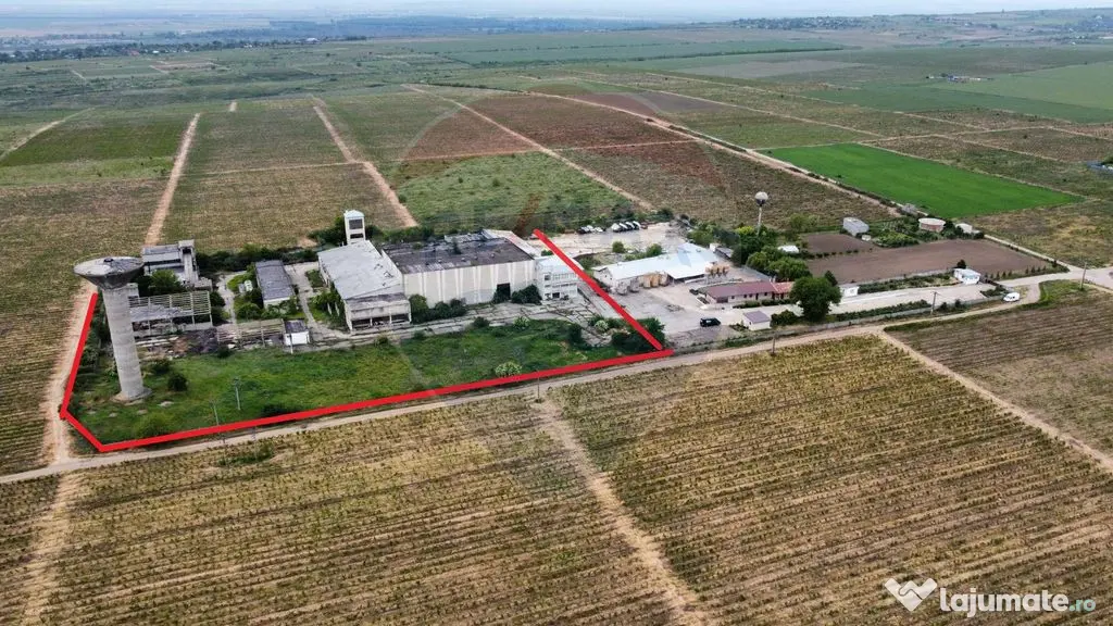 Spațiu industrial vinificatie Dobrinesti