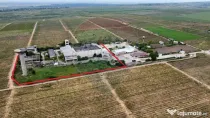 Spațiu industrial vinificatie Dobrinesti