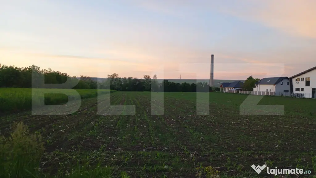 Parcela 5 ari de vanzare, pretabil loc pentru casa, Lisaura