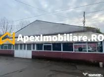 Hale Industriale de Vânzare Baicoi – 1100 mp + 800 mp, te