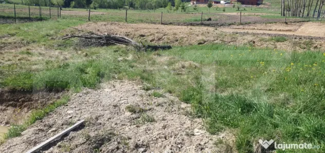 Teren intravilan, 954 mp, zona Plaiu Sarului - Vatra Dornei