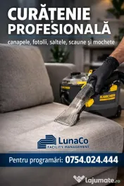Curățare profesionala canapele si saltele