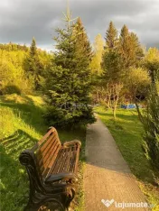 Pensiune - Restaurant - Cabanute - Lac pescuit 