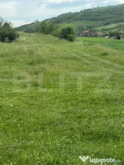 Teren 2900 mp, la strada asfaltata, utiltati -Ocna Dej