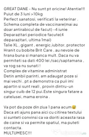 Caine de paza 3luni de vanzare