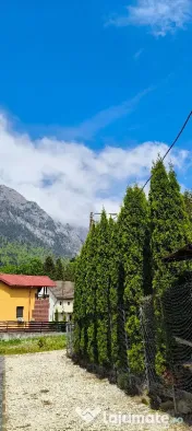 Teren si casa la rosu de vanzare in Busteni