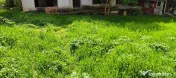 Teren si casa la rosu de vanzare in Busteni
