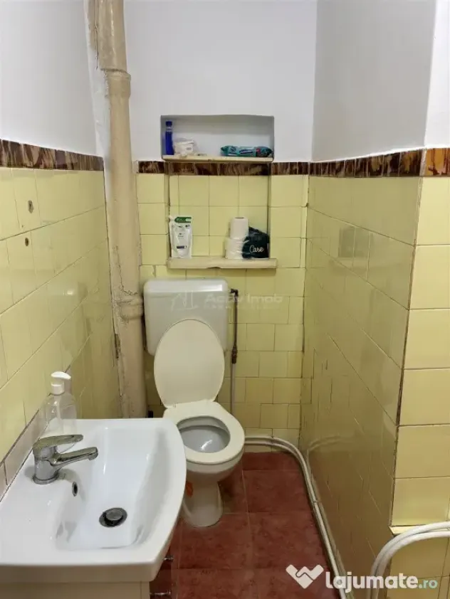 Casa 3 cam zona Armeneasca- Mosilor, str. Toamnei