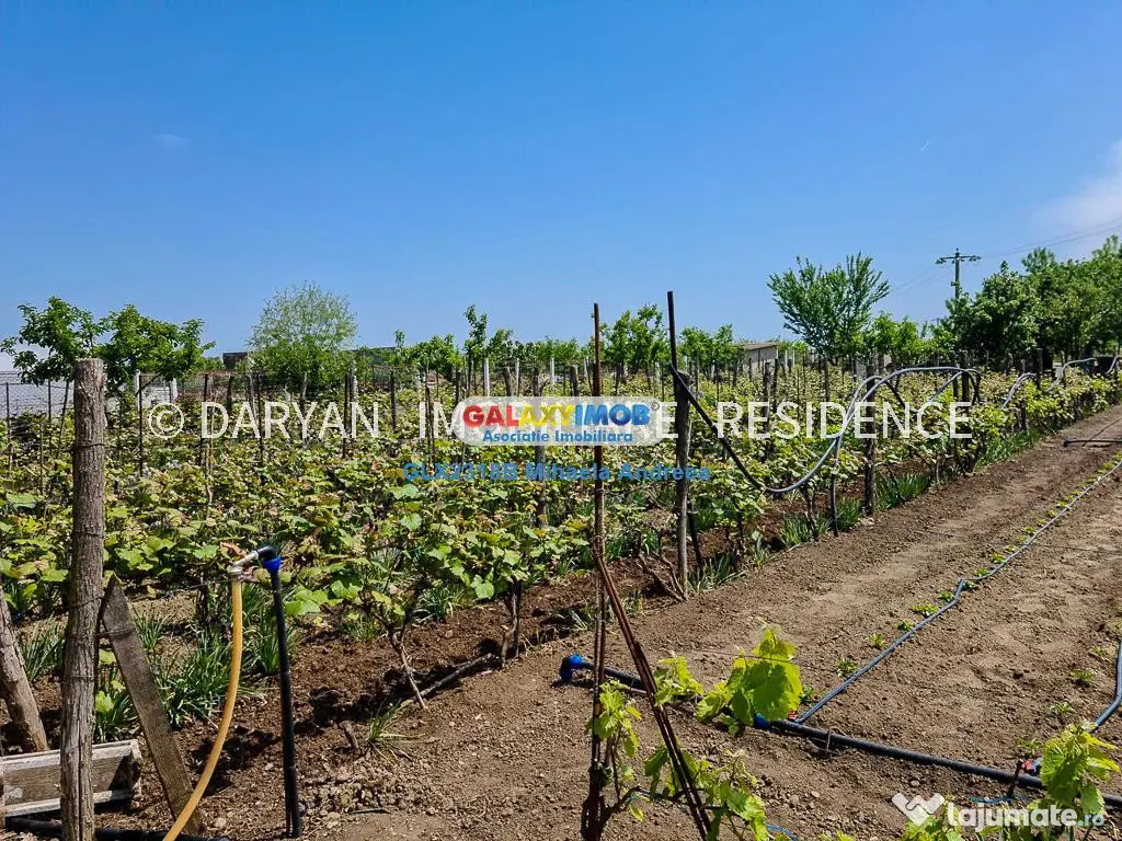 Teren in Poienari Apostoli, 21 E/mp, Avantajos, DN1, 34.500