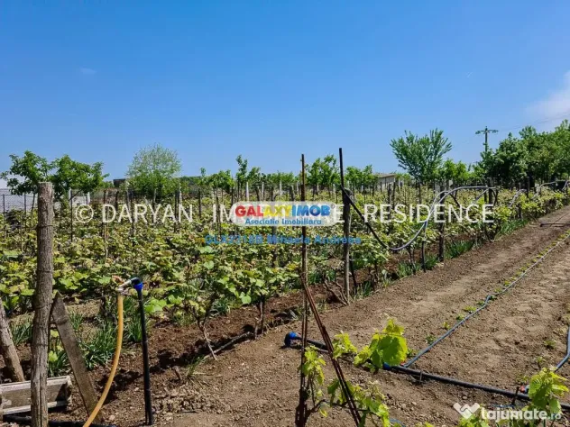 Teren in Poienari Apostoli, 21 E/mp, Avantajos, DN1, 34.500