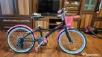 Bicicleta polivalenta Btwin Original 500