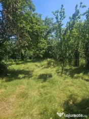Teren 1062 mp intravilan Petrachioaia 