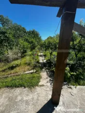 Teren de vânzare în Filești