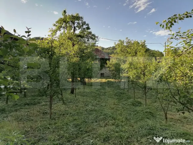 Casă la rRșu cu Livadă, Teren 1000 mp. Gemenea Brătule?