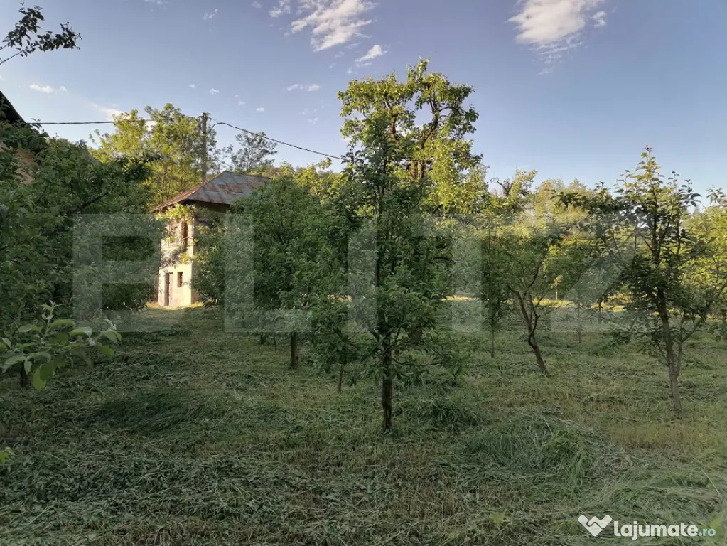 Casă la rRșu cu Livadă, Teren 1000 mp. Gemenea Brătule?