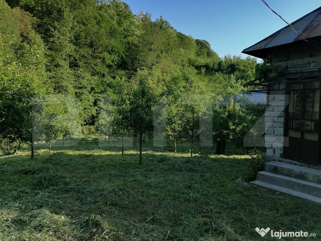 Casă la rRșu cu Livadă, Teren 1000 mp. Gemenea Brătule?