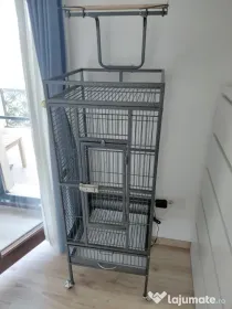 Volieră papagali