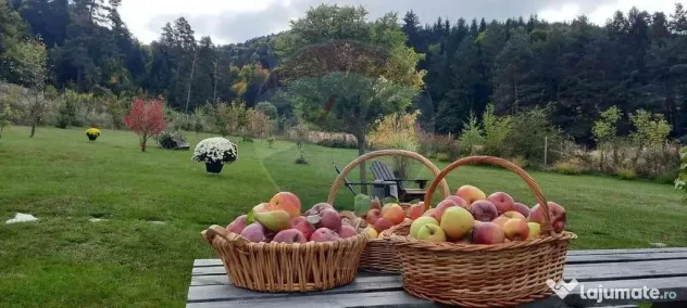 Casă / Vilă cu 2 camere de vânzare