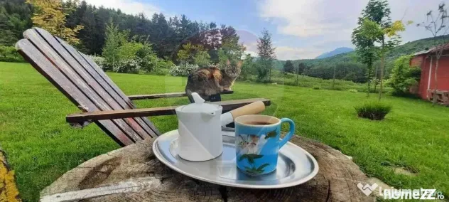 Teren 7160 mp/PUZ/cabana-ideal pentru proiect turistic/gl... - Tarlungeni (Brasov)