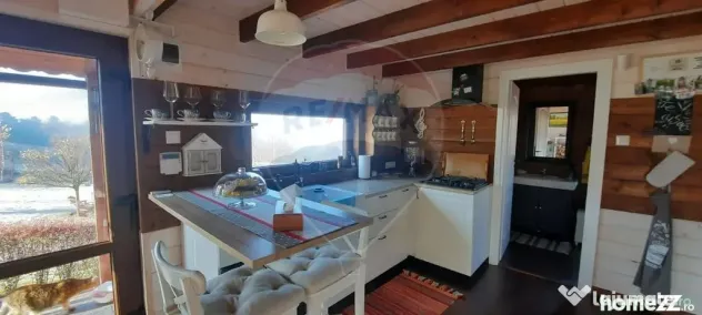 Teren 7160 mp/PUZ/cabana-ideal pentru proiect turistic/gl... - Tarlungeni (Brasov)