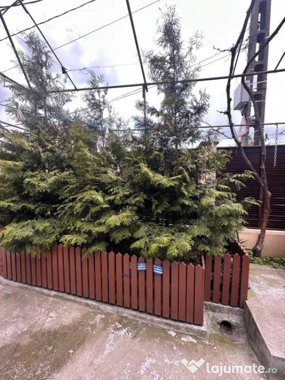 Casa de vanzare, 3 camere, situata in zona CET