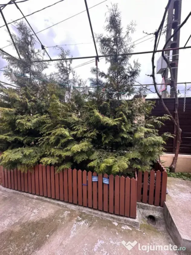 Casa de vanzare, 3 camere, situata in zona CET