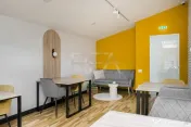 Duplex | Birouri / Rezidențial | Aviatorilor – Kiseleff