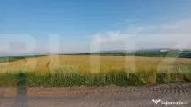 Teren arabil 9.000 mp în Moacșa – investiție într-o zo