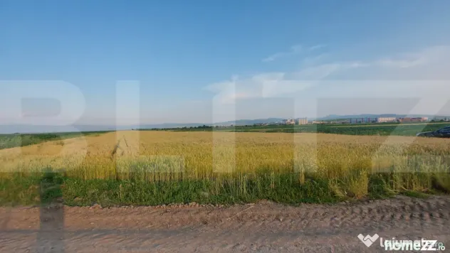 Teren arabil 9.000 mp în Moacșa – investiție într-o zo - Moacsa (Covasna)